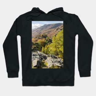 Castle Crag outlook Hoodie